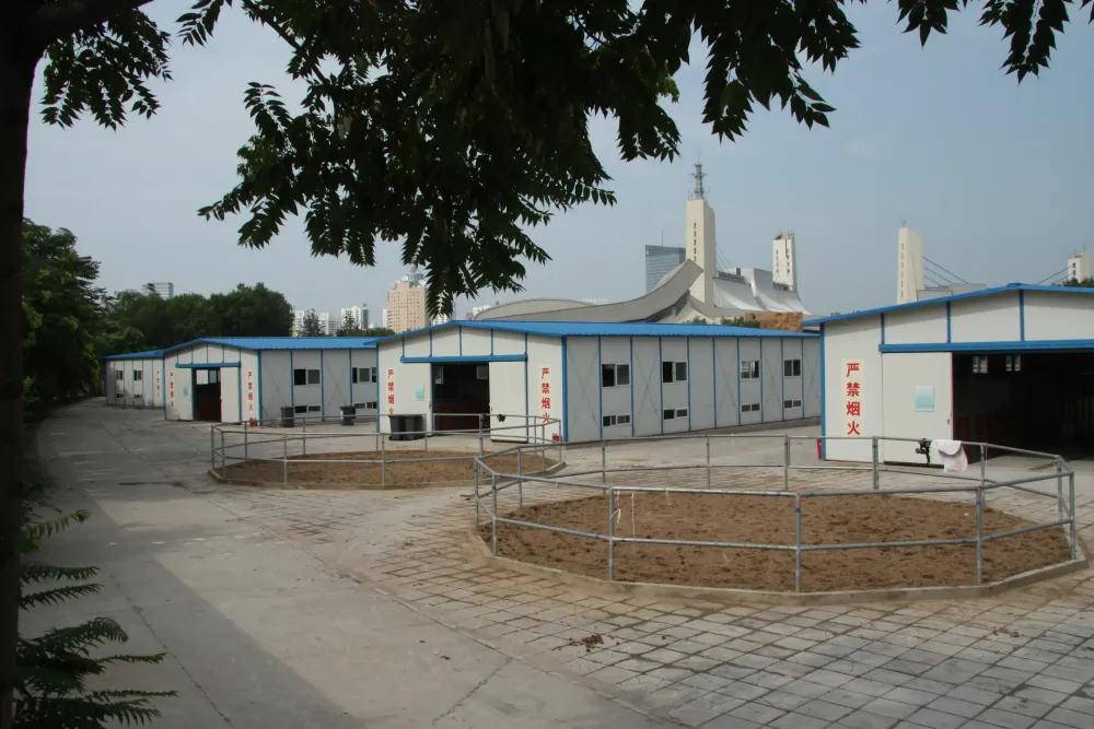 Beijing 2008 Olympic Venues Support Project 1