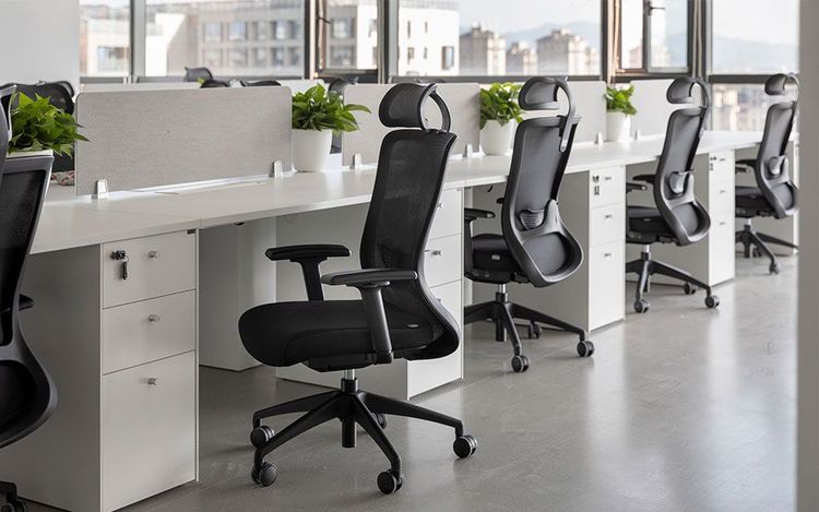 Laifuture Technology Co., Ltd. 3