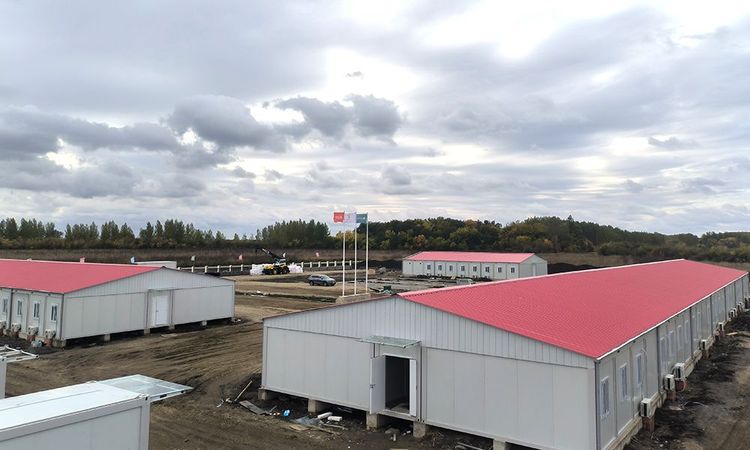 Serbia Zrenjanin Office Camp 2