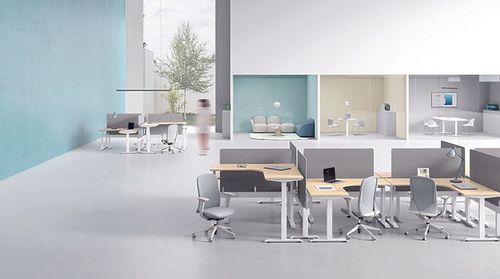 Sit, Stand, Move! Why You Need a Sit-Stand Desk