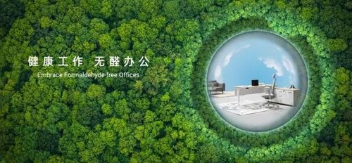 Focus on High-Quality Growth: Yihang's First Formaldehyde-Free Office Forum Held in Fuzhou